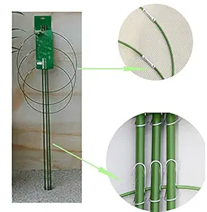 Generic Heavy Duty Tomato and Plant Support Cage Plant-Staking System(60 cm)