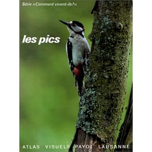 PICS N20 Livre en Ligne PICS N20 Livre en Ligne - Telecharger Ebook