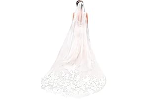 BAIYOULI Velo de Novia Boda Largo Tul Suave de Una Sola Capa Encaje con Peine Accesorios de Boda 3 Metros