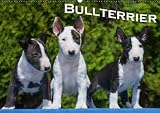Bullterrier (Wandkalender 2015 DIN A2 quer): Bullterrier von klein bis groß auf 13 wundervollen Fotos (Monatskalender, 14 Seiten) by 