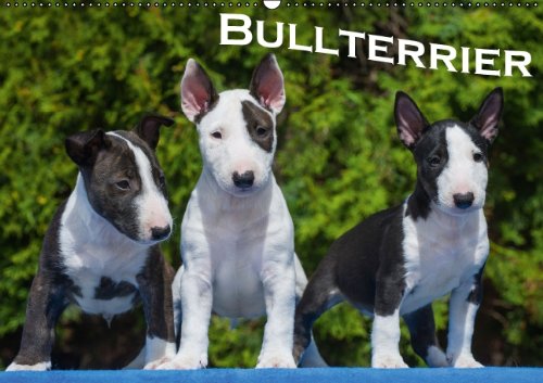 Bullterrier (Wandkalender 2015 DIN A2 quer): Bullterrier von klein bis groß auf 13 wundervollen Fotos (Monatskalender, 14 Seiten)