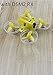 Produktbild CS PROTIRYKINGKONG/LDARC Tiny6 PNP Mini Racing Drone Quadcopter with 800TVL Camera DSM2 Receiver