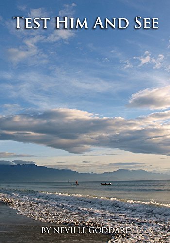 TEST HIM AND SEE (English Edition)