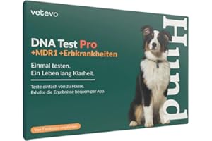 vetevo Dog DNA Test Breed Identification & Hereditary Diseases, Dog Genetic Test for 400+ Dog Breeds & 175+ Hereditary Diseases, Easy to Use, Free Laboratory Shipping