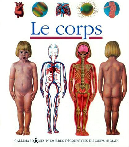 Le corps gratuit Le corps gratuit