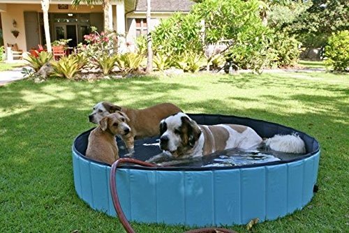 Kaka-mall-Pet-Dogs-Cats-Swimming-Pool-Bathing-Tub-Foldable-Indoor-Outdoor-Light-BLue