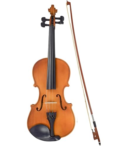Stentor Student Standard Violin Outfit 4/4 Size, Entry Level