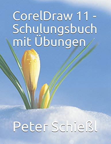 Preisvergleich Produktbild CorelDraw 11 - Schulungsbuch mit Übungen