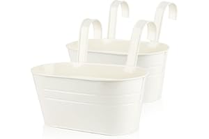 ABSDON 2Pcs Metal Hanging Flower Pots with Detachable Hook Plant Pot Wall Planter Bucket for Fence Balcony Garden Ornament Home Decor