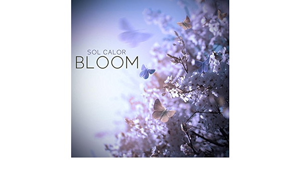 Bloom Von Sol Calor Bei Amazon Music Amazon De bloom von sol calor bei amazon music