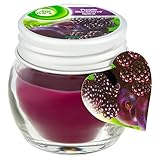 Airwick Purple BlackBerry Spice Scented Candle, Pack of 20