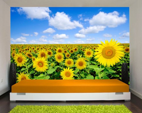 Papiertapete Foto-Tapete Sonnenblumen KT348 Sonnenblume Feld Natur Tapete Fototapete Größe: 420x270cm Kleistertapete Wandbild XXL-Tapete - 2