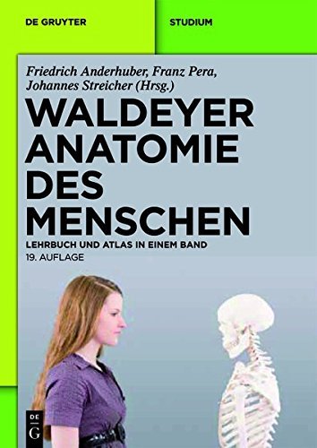 Waldeyer - Anatomie Des Menschen: Lehrbuch Und Atlas in Einem Band (de Gruyter Studium) (German Edition) (2012-05-29) en ligne Waldeyer - Anatomie Des Menschen: Lehrbuch Und Atlas in Einem Band (de Gruyter Studium) (German Edition) (2012-05-29) en ligne