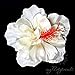 Produktbild Haarblüte 'Hibiskus' in cremeweiß; Ø 11 cm; Höhe 6 cm. (Hawaiiblume, Haarblume, Hibiskusblume, Hibiskusblüte)