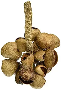 Toca, Seed Shell Shaker Rope Handle T-SS, natural brown