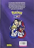 Image de Pokemon X-Y 2