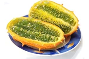 LEGUTKO Kiwano, semillas de melón cornudo - Cucumis metuliferus