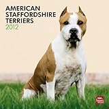 American Staffordshire Terriers 2012 by 