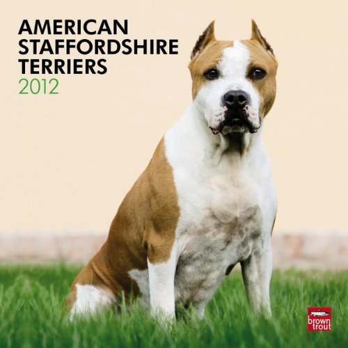 American Staffordshire Terriers 2012