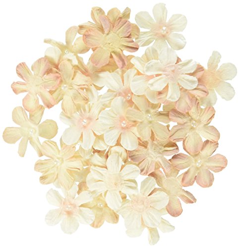 Petaloo Penny Lane Mini Pearl Daisies (40 Pack), 0.75", Antique Beige RS.1179 (54.00% Off) - Amazon
