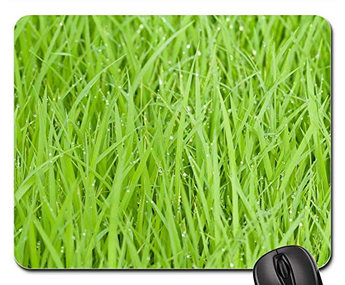 Preisvergleich Produktbild Mouse Pads - Rice Field Green Grass Nature Plant Natural