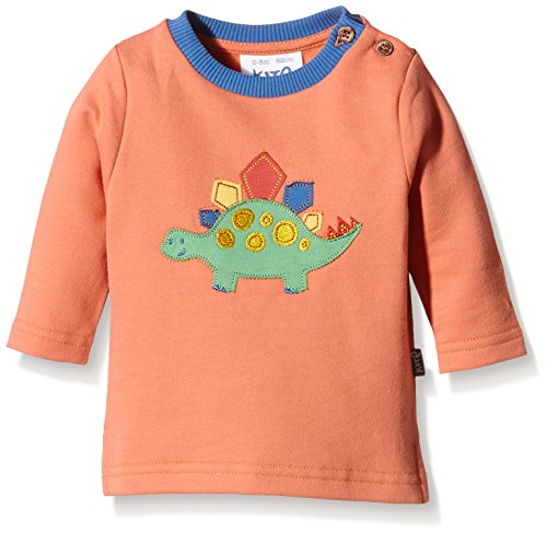 Kite Baby-Boys Dinosaur Sweatshirt Plain Crew Neck Long Sleeve Sweatshirt, Orange, 12-18 Months (Manufacturer Size:12-18M))
