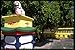 Produktbild 081088 Wat Phra Thong Phuket Island A4 Photo Poster Print 10x8