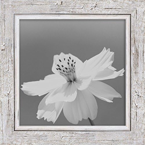 WandStyle WS-H660-001 Picture Photo Frame Shabby Chic Vintage Style, Solid Wood White, Wood, Weiß, 20 x 25