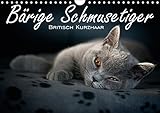 Bärige Schmusetiger - Britisch Kurzhaar (Wandkalender 2019 DIN A4 quer): Liebevolle Fotoserie von Britisch Kurzhaar Kätzchen (Monatskalender, 14 Seiten ) (CALVENDO Tiere) by 