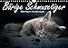 Bärige Schmusetiger - Britisch Kurzhaar (Wandkalender 2019 DIN A4 quer): Liebevolle Fotoserie von Britisch Kurzhaar Kätzchen (Monatskalender, 14 Seiten ) (CALVENDO Tiere) by 