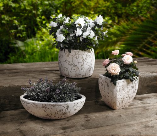 Pflanz-Schale „Ranken“ - 3