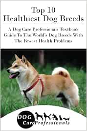 top 10 healthy dog breeds