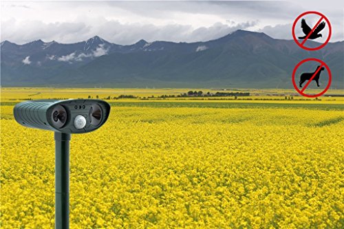 Cozyswan Solar Tiervertreiber Wasserdichte Ultraschall Abwehr Hundeschreck Katzenschreck Marderschreck - 7