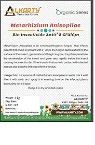 alkarty Metarhizium Anisopliae Bio Insecticide, 2 kg