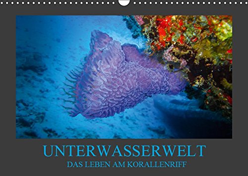 Unterwasserwelt - Das Leben am Korallenriff (Wandkalender 2019 DIN A3 quer): Farbenprächtige und bezaubernde Bilder eines Korallenriffs erwarten Sie. (Monatskalender, 14 Seiten ) (CALVENDO Natur)