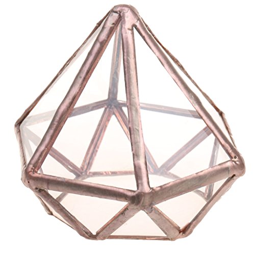 MagiDeal Geometrisches Glas Terrarium Box Glas Sukkulente Pflanzen Pflanzgefäß Deko Diamant Form - S