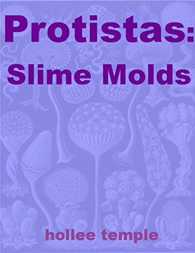 Download Protistas: Slime molds (phyla Book 10)