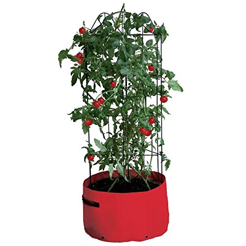 Preisvergleich Produktbild Große 38-Liter-Klettertomate Pflanztasche Growbags Garten Growbags Pflanzentopf