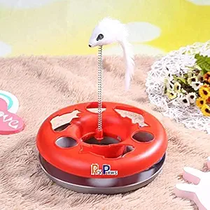 RvPaws Catch The Mouse Motion Cat Toy (Color May Vary)