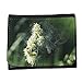 Produktbild Portemonnaie Geldbörse Brieftasche // M00289917 Pflanze, Blume, Blüte Blütenpollen // Small Size Wallet