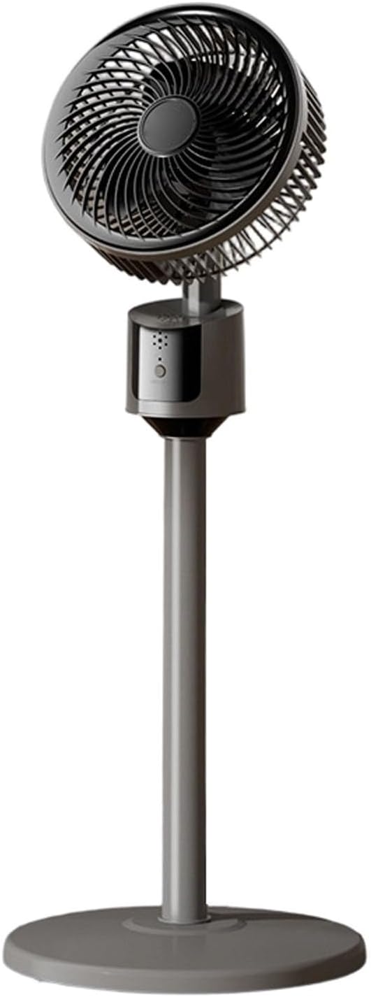 Vue 12