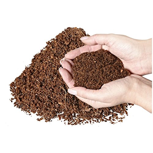 Torf Ersatz 10 x 650g = 90 L Kokoserde Blumenerde ungedüngt & torffrei – Pflanzerde für Obst, Gemüse, Zierpflanzen und Exoten - 4