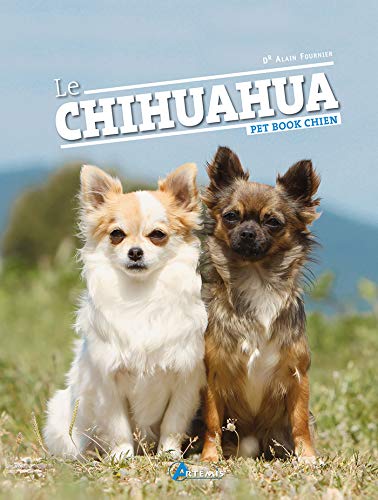 Le Chihuahua Le Chihuahua