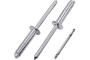SKIR'CO (200 piezas) Remaches ciegos de aluminio de 4,8 x 21 mm, mandril de aluminio, remaches pop, cabeza de cúpula, una broca incluida