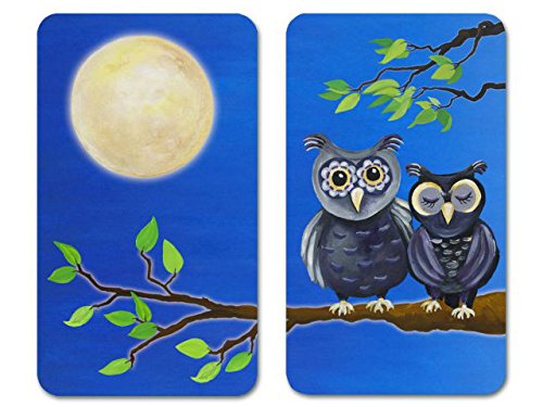 ABDECKPLATTE MOTIVPLATTE HERDABDECKPLATTEN GLAS EULEN GLASPLATTE 2 Stück WENKO