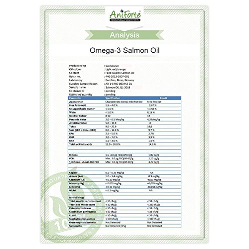 AniForte-Omega-3-Salmon-Oil-1000ml-100-Pure-Natural-Coat-Joint-Brain-Health-Super-High-Omega-3-6-Supplement-Tasty-Easy-to-Use-Sea-Power-from-Norway-Natural-Solution-for-Dogs-Cats-Horses-and-Pets