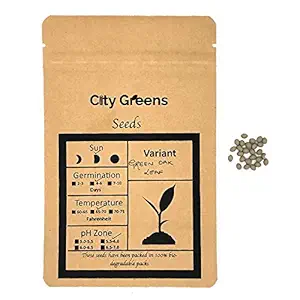 City Greens Green Oak Lettuce Seed - 50 seeds - Imported Vegetable Plant Seeds for Home Gardening