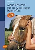 Image de Meridiantafeln für die Akupressur beim Pferd