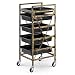 Produktbild DANTB 4/5 Tiers Salon Trolley Multifunktionstablett Haaraufbewahrung Friseur Cart Beauty Spa Make-Up Warenkorb Mit Schubladen (Farbe : Bronze, Größe : Five Floors),Gold1