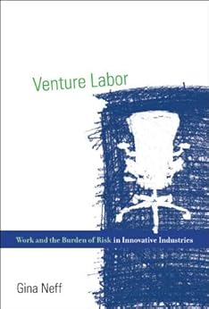 Venture Labor Work And The Burden Of Risk In Innovative